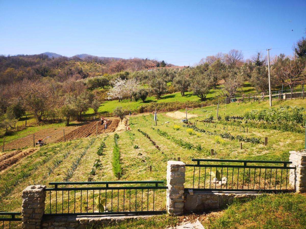 Agriturismo Olimpo Villa Santa Maria  Екстериор снимка