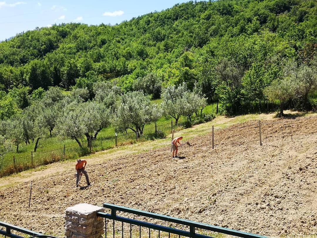 Agriturismo Olimpo Villa Santa Maria  Екстериор снимка