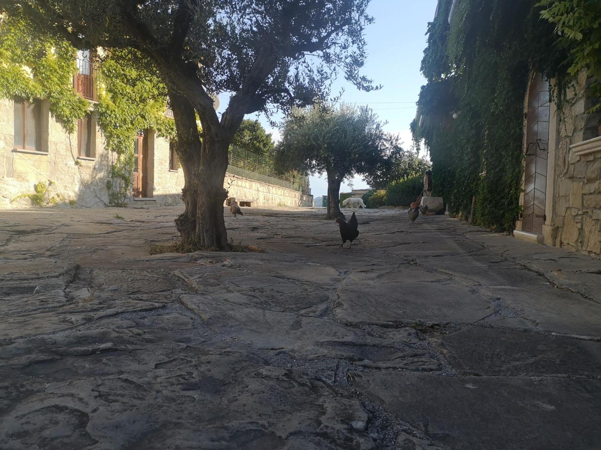 Agriturismo Olimpo Villa Santa Maria  Екстериор снимка